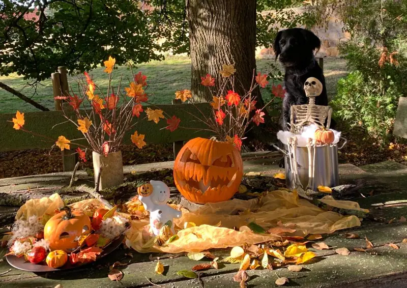Halloween im TagesNest – Bild 9