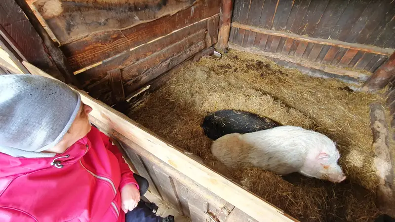 Ausflug zum Familienpark Sottrum – Bild 11