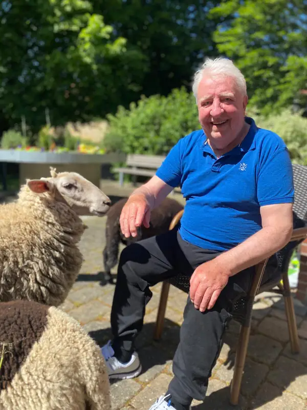 Familie Schaf zu Besuch – Bild 2