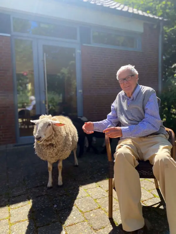 Familie Schaf zu Besuch – Bild 3