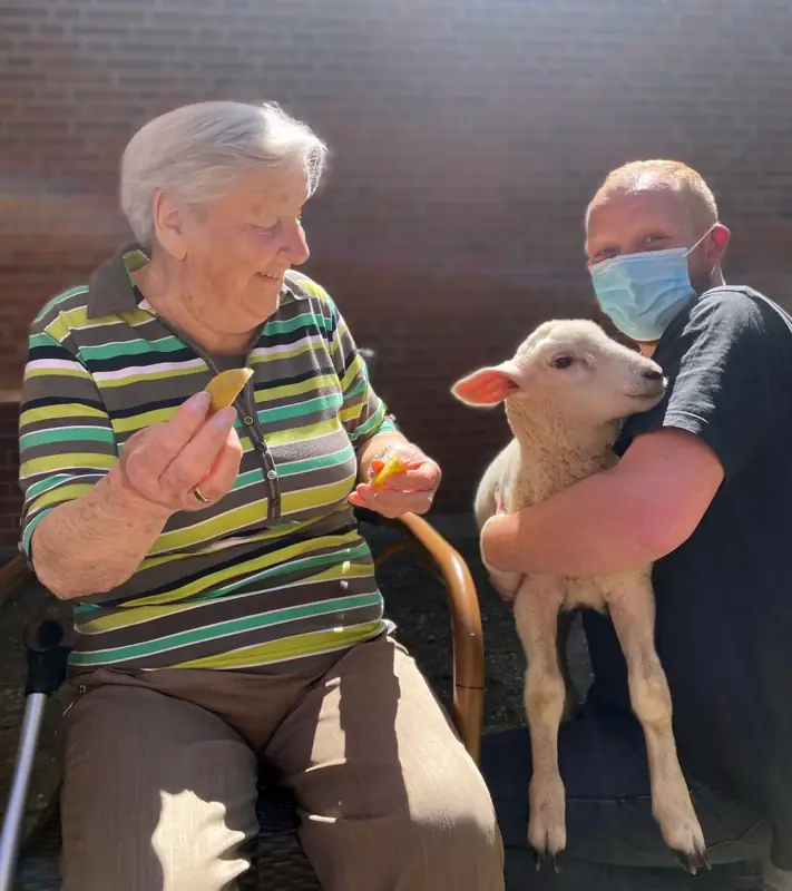 Familie Schaf zu Besuch – Bild 4