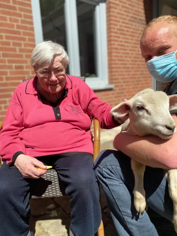 Familie Schaf zu Besuch – Bild 5