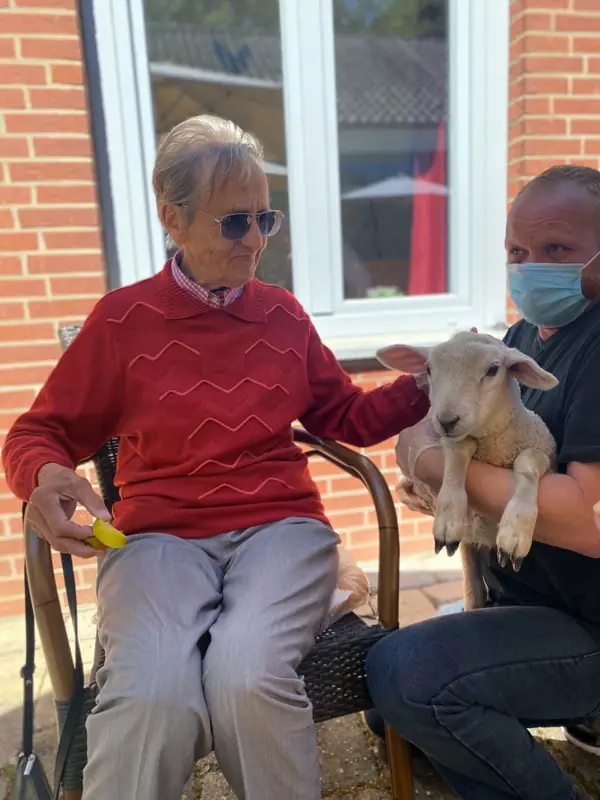 Familie Schaf zu Besuch – Bild 7