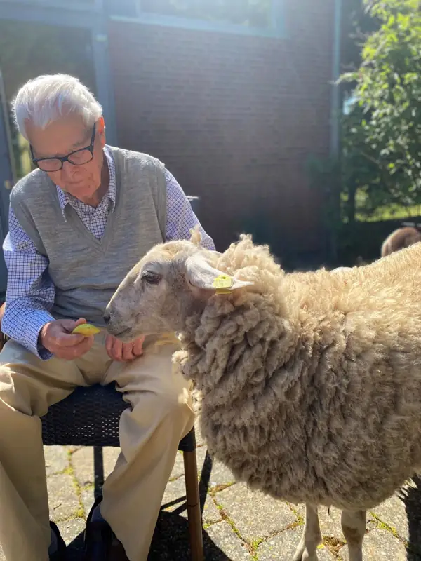 Familie Schaf zu Besuch – Bild 8