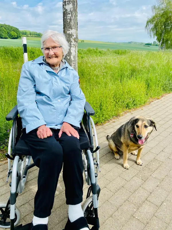 Ein herrlicher Spaziergang – Bild 2