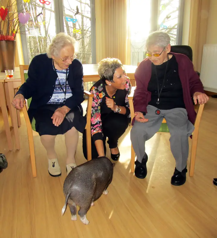 Schöne Schweinerei im TagesNest – Bild 5
