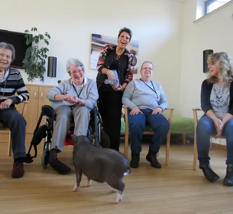 Schöne Schweinerei im TagesNest – Bild 6