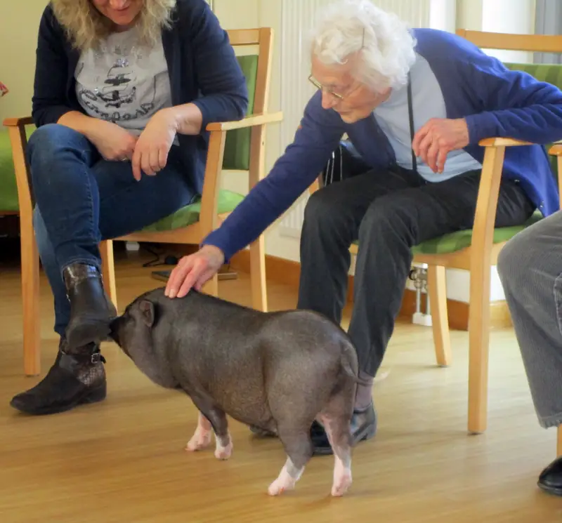 Schöne Schweinerei im TagesNest – Bild 9