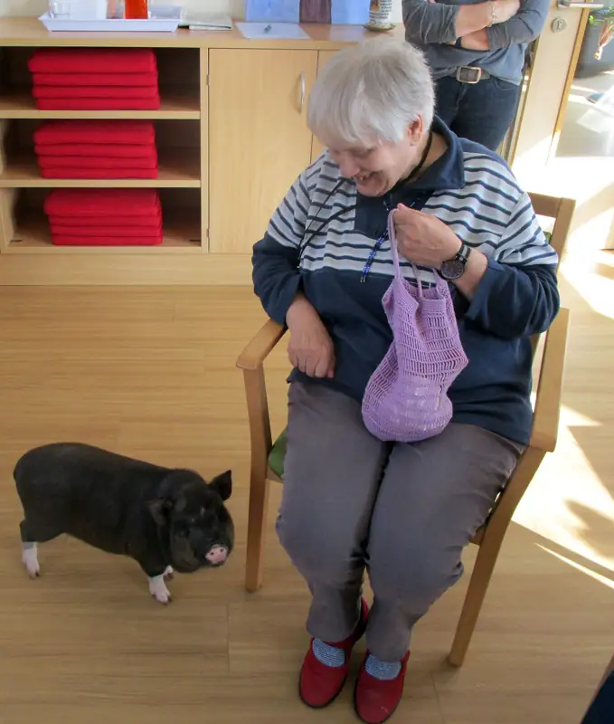 Schöne Schweinerei im TagesNest – Bild 11