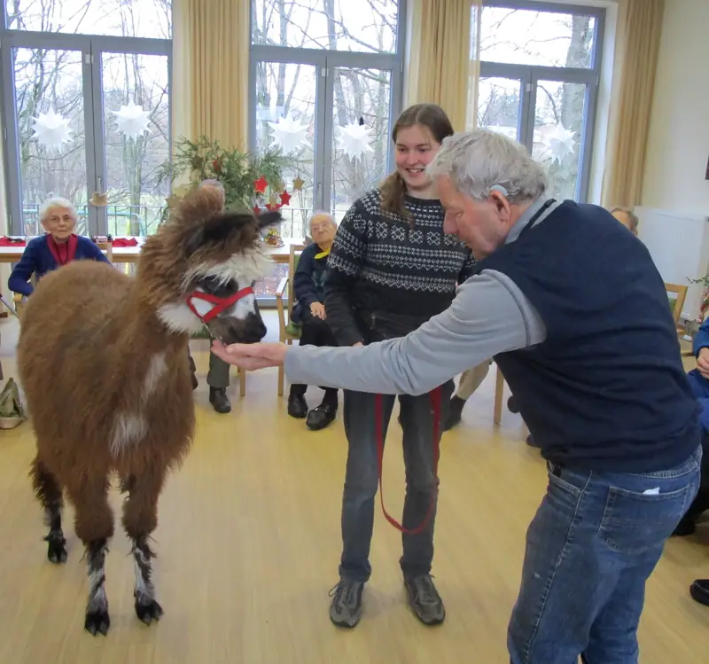 Heute zu Gast: Mogli – Bild 3