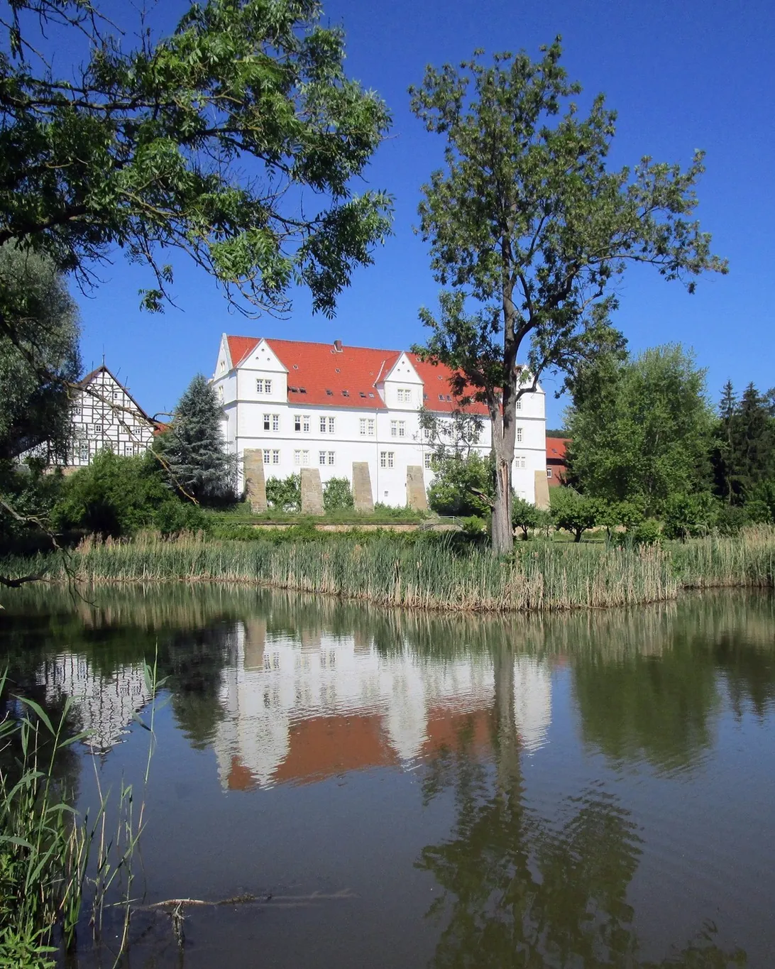 Blick über den Teich auf das Schloss Henneckenrode